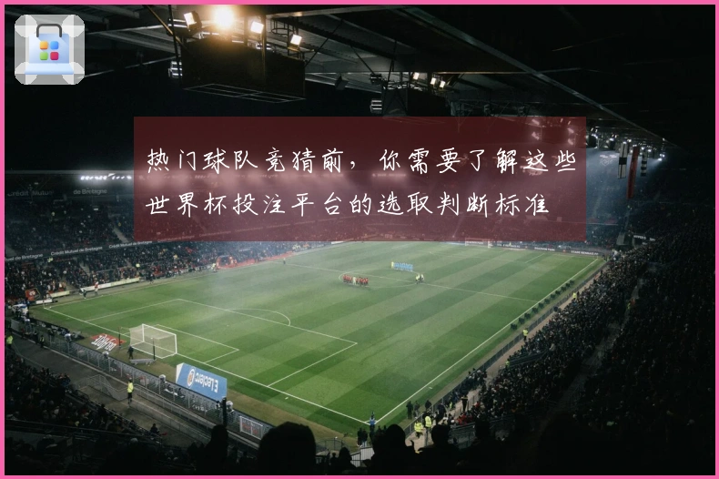 热门球队竞猜前，你需要了解这些世界杯投注平台的选取判断标准