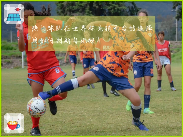 热门球队在世界杯竞猜平台的选择该如何判断与比较？