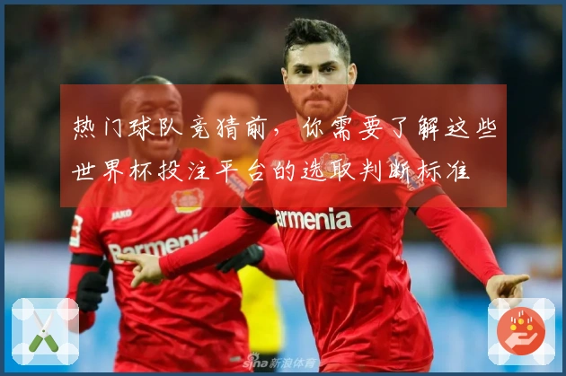 热门球队竞猜前，你需要了解这些世界杯投注平台的选取判断标准